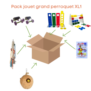Pack jouet grand perroquet XL1